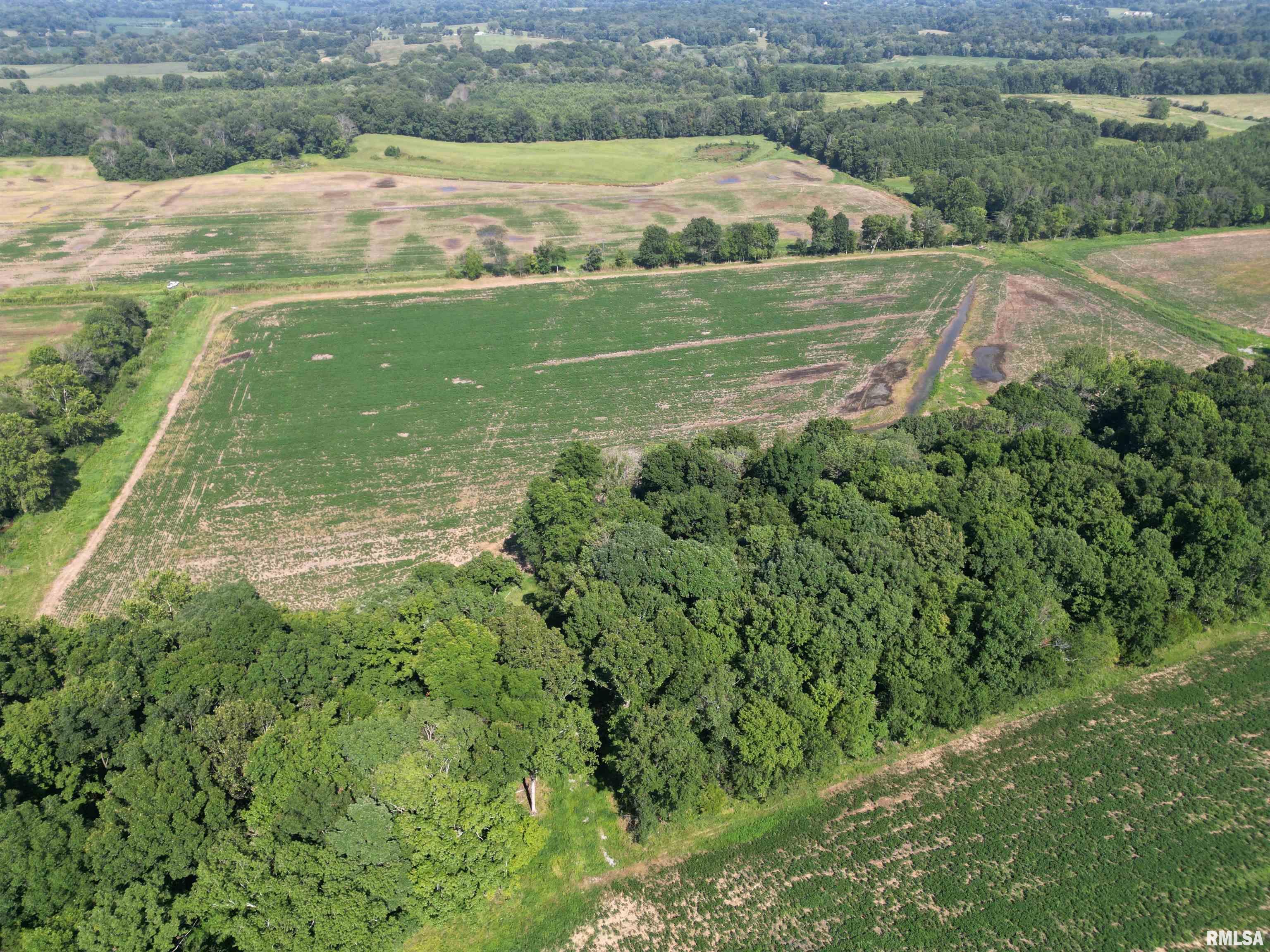 0 Old Bloomfield Road Vienna, IL 62995 - Photo 48 of 51