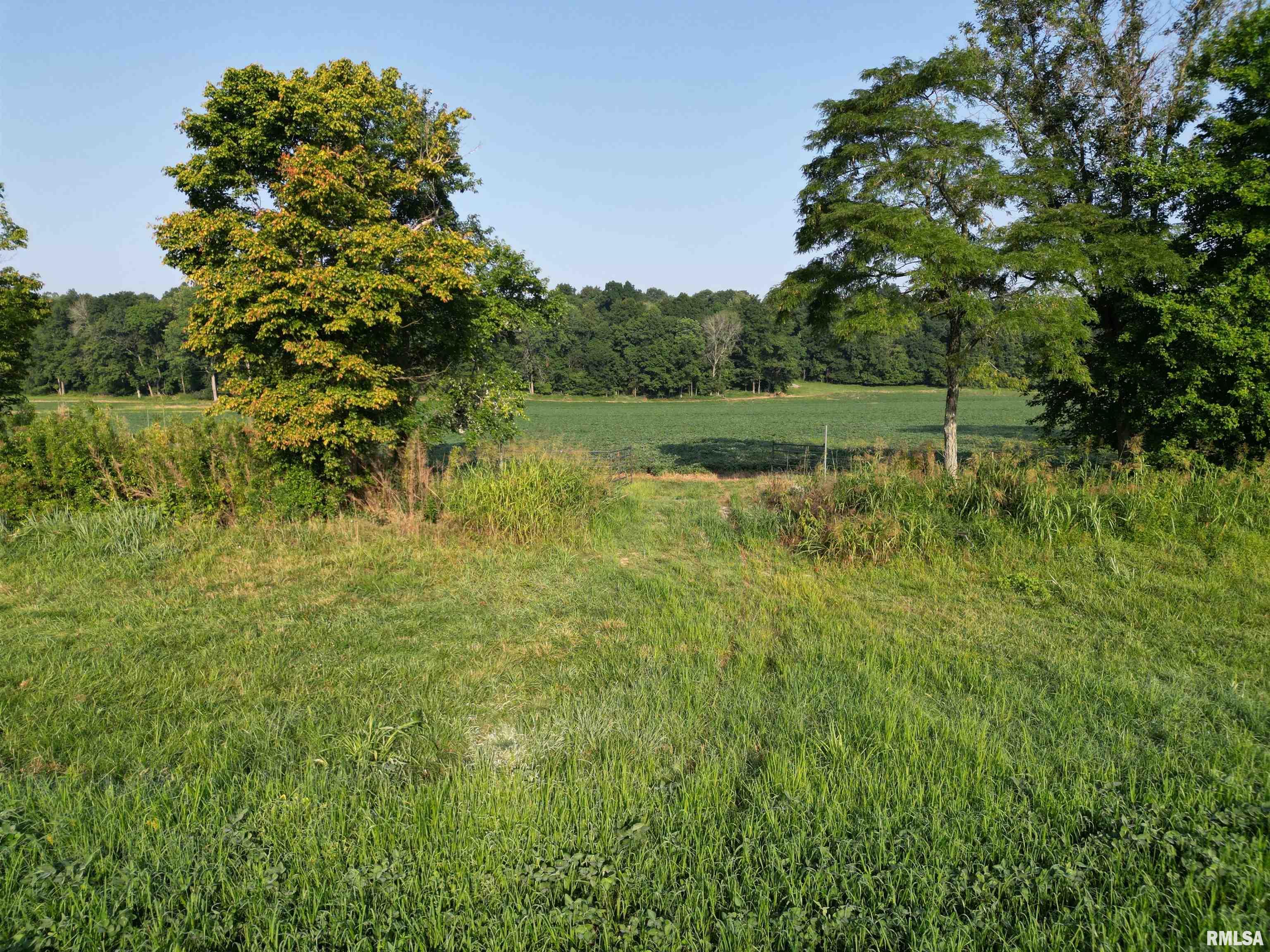0 Old Bloomfield Road Vienna, IL 62995 - Photo 49 of 51