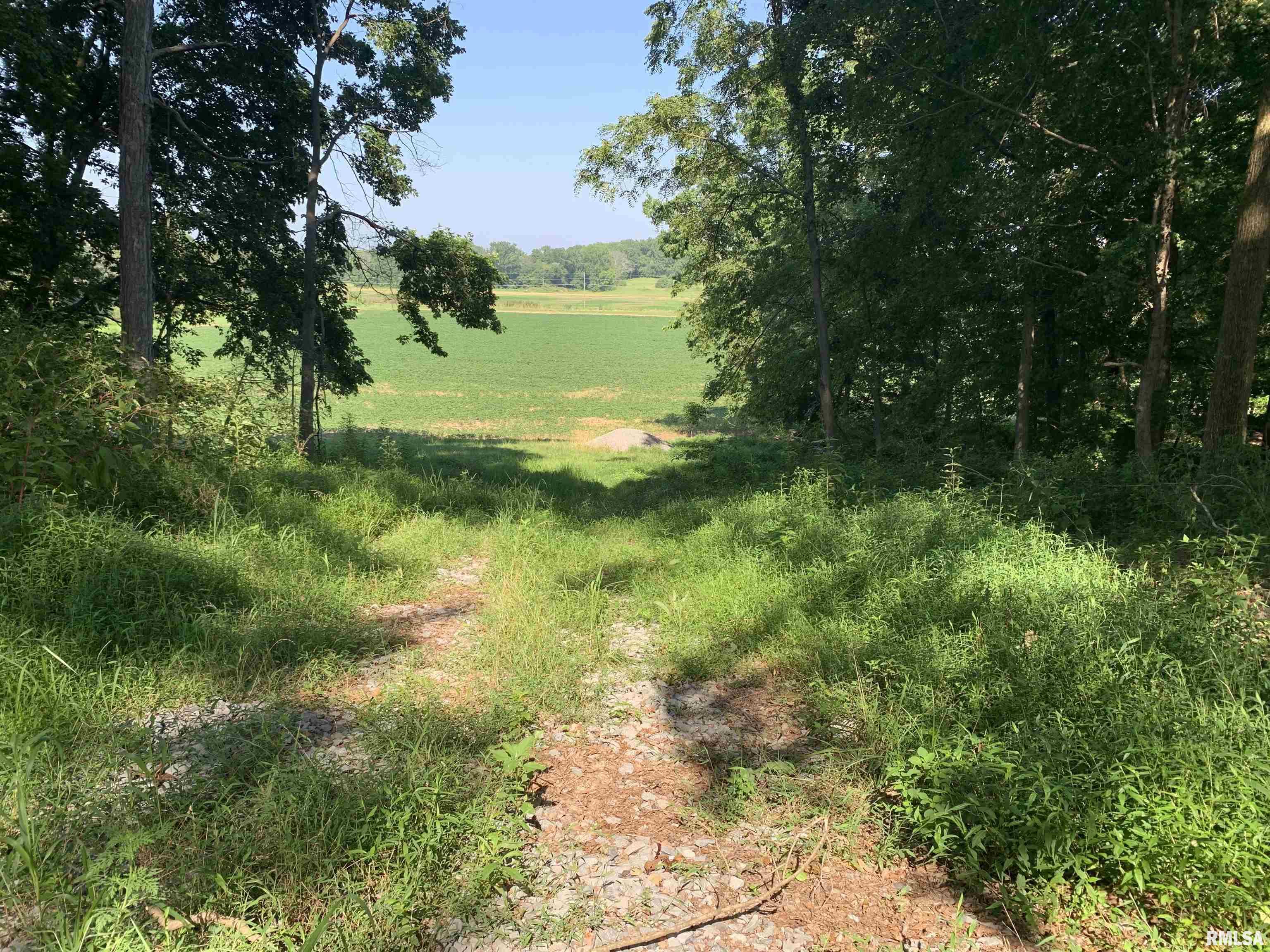 0 Old Bloomfield Road Vienna, IL 62995 - Photo 50 of 51