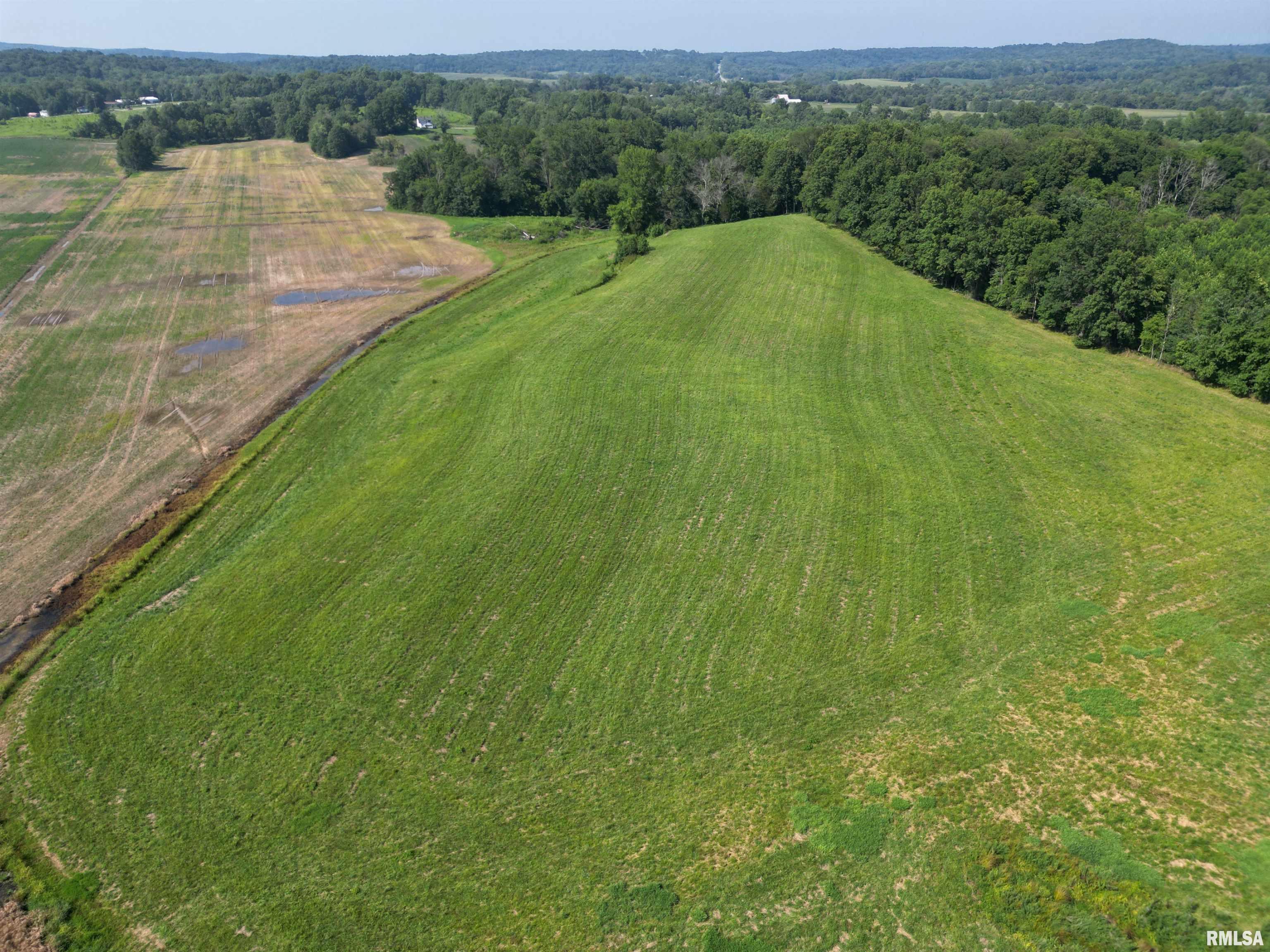 0 Old Bloomfield Road Vienna, IL 62995 - Photo 5 of 51