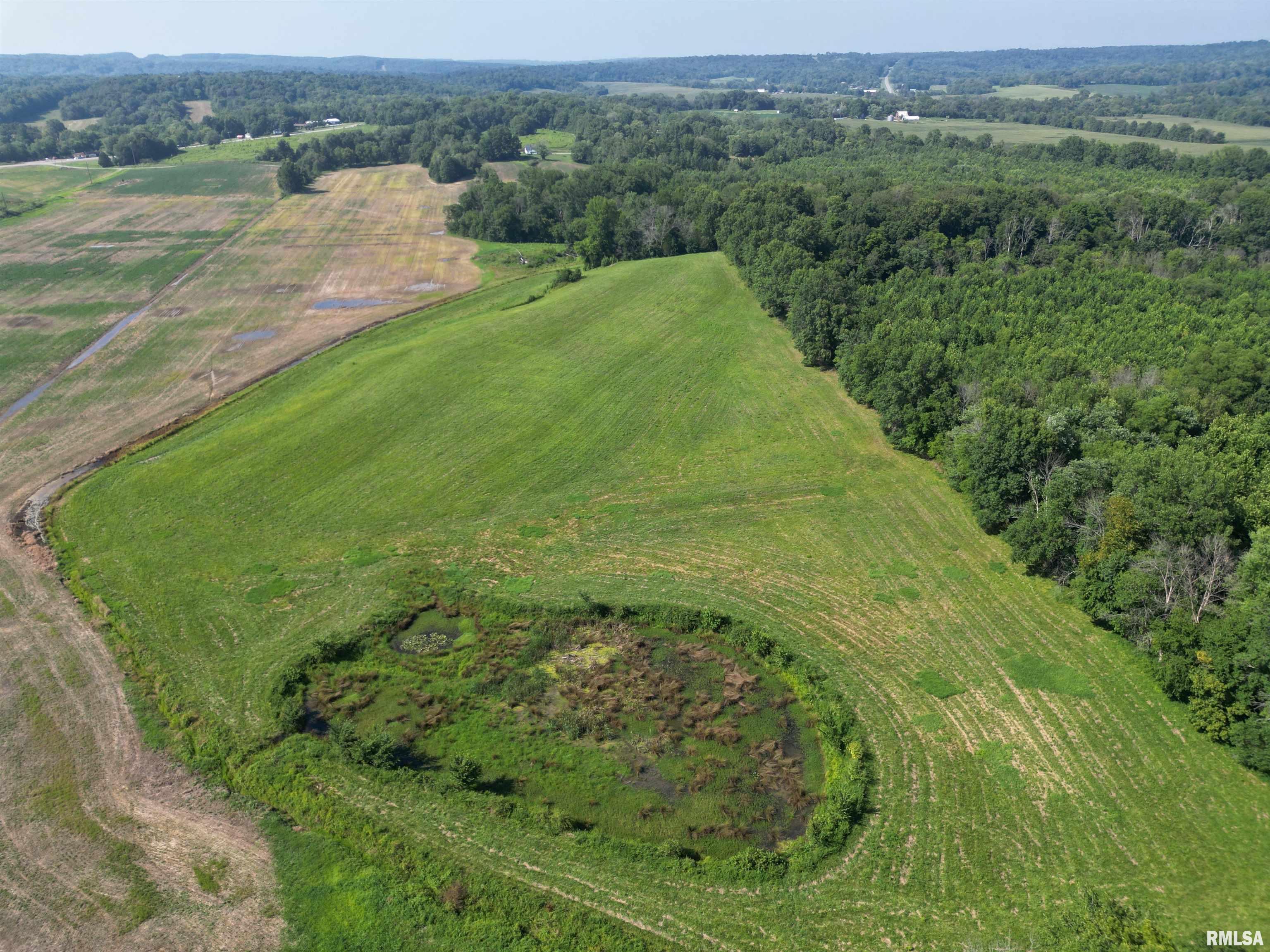 0 Old Bloomfield Road Vienna, IL 62995 - Photo 6 of 51