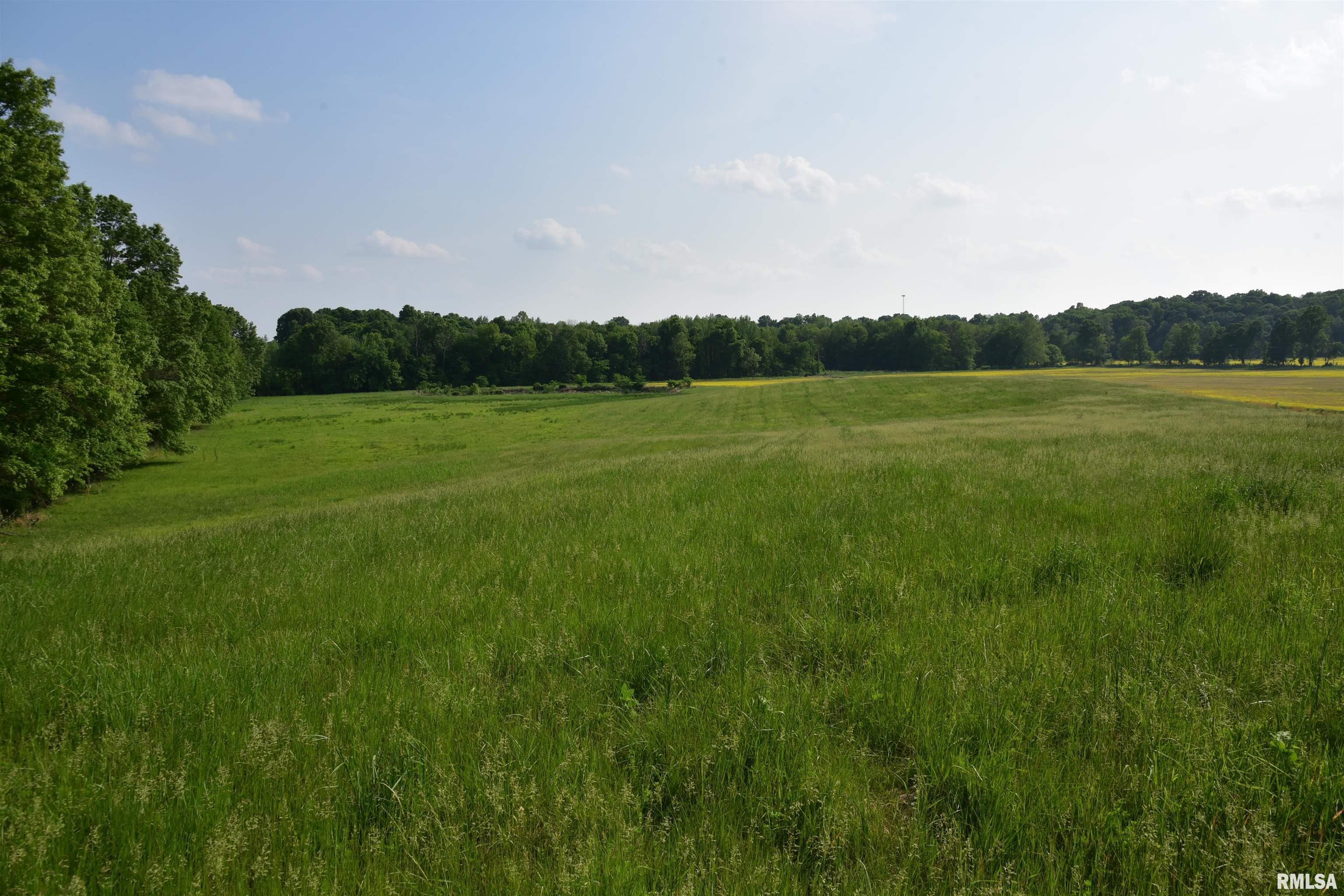 0 Old Bloomfield Road Vienna, IL 62995 - Photo 7 of 51
