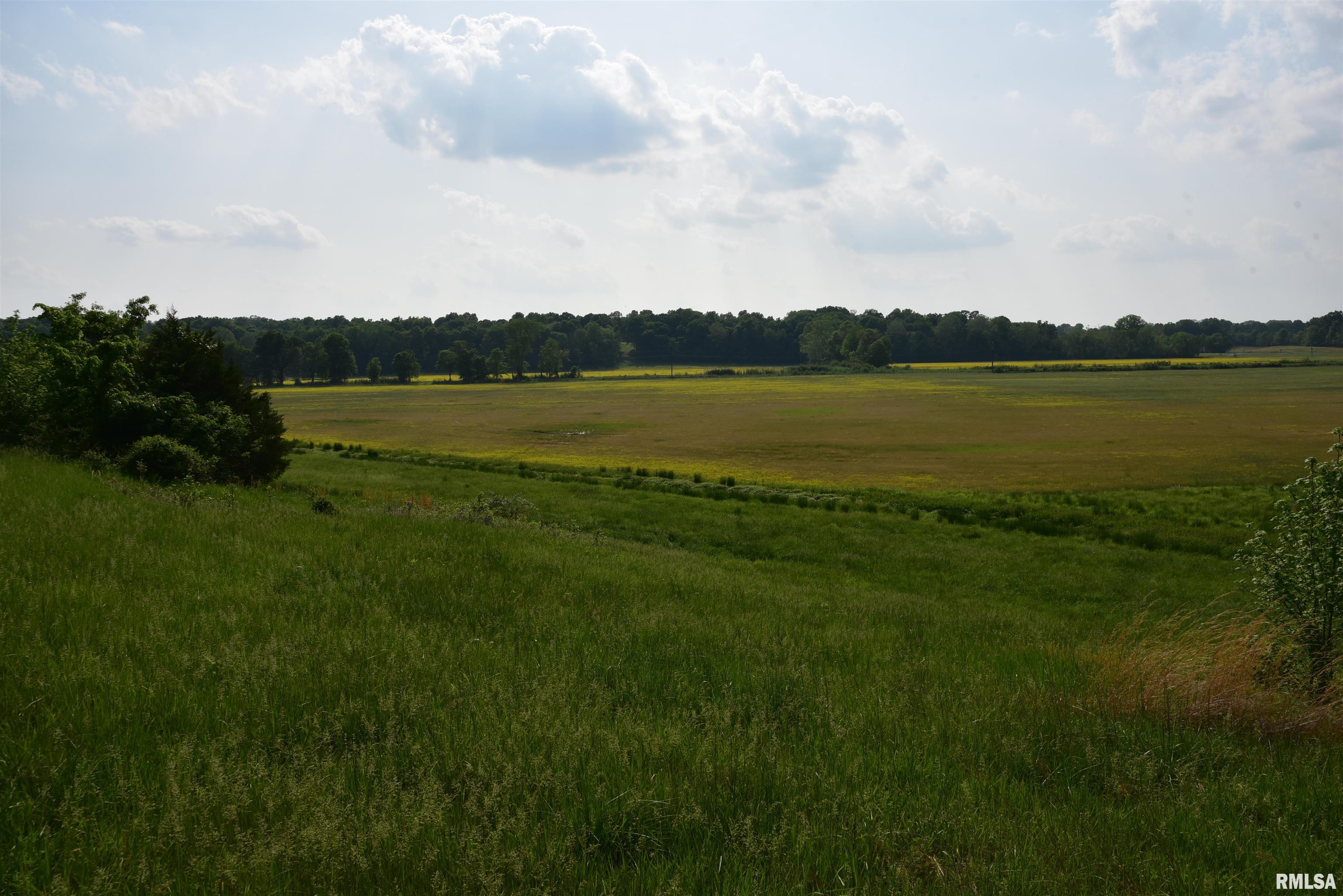 0 Old Bloomfield Road Vienna, IL 62995 - Photo 8 of 51