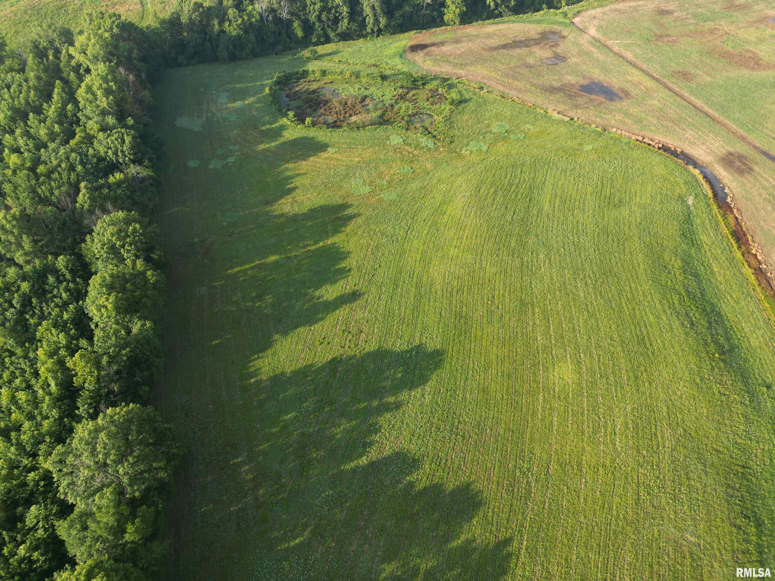 0 Old Bloomfield Road Vienna, IL 62995 - Photo 10 of 51