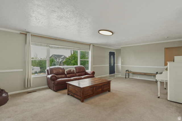 500 North 800 East Springville, UT 84663 - Photo 8 of 51 Living area with light colored carpet, ornamental molding, and a textured ceiling