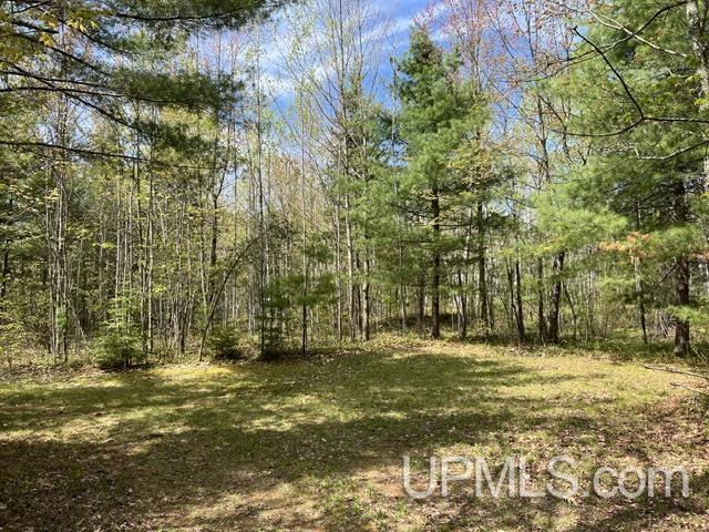 W8001 East Cataline Road Pembine, WI 54156 - Photo 19 of 27