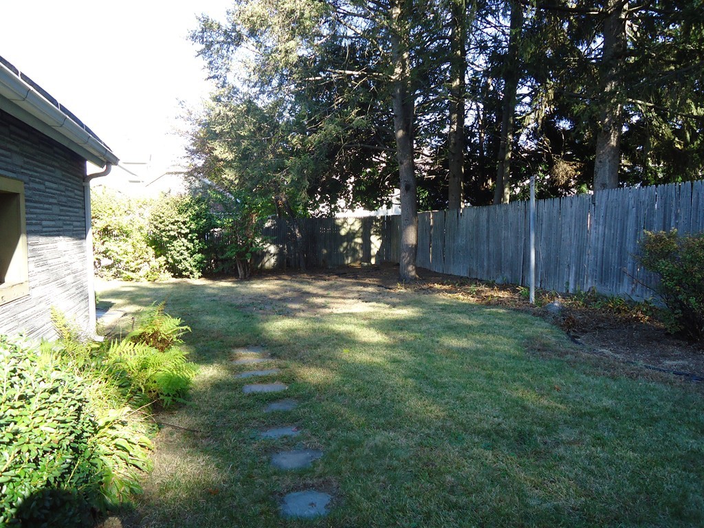 68 Victoria Street Springfield, MA 01104 - Photo 12 of 14 a view of backyard with tree