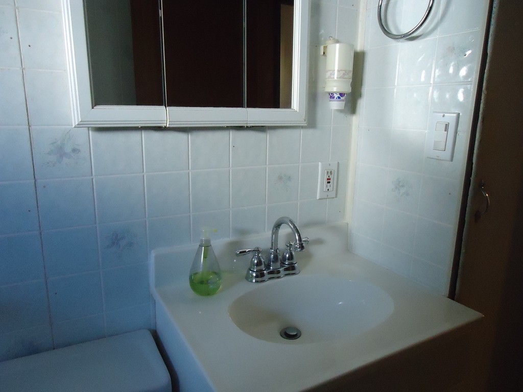 68 Victoria Street Springfield, MA 01104 - Photo 5 of 14 a bathroom with a sink and a mirror