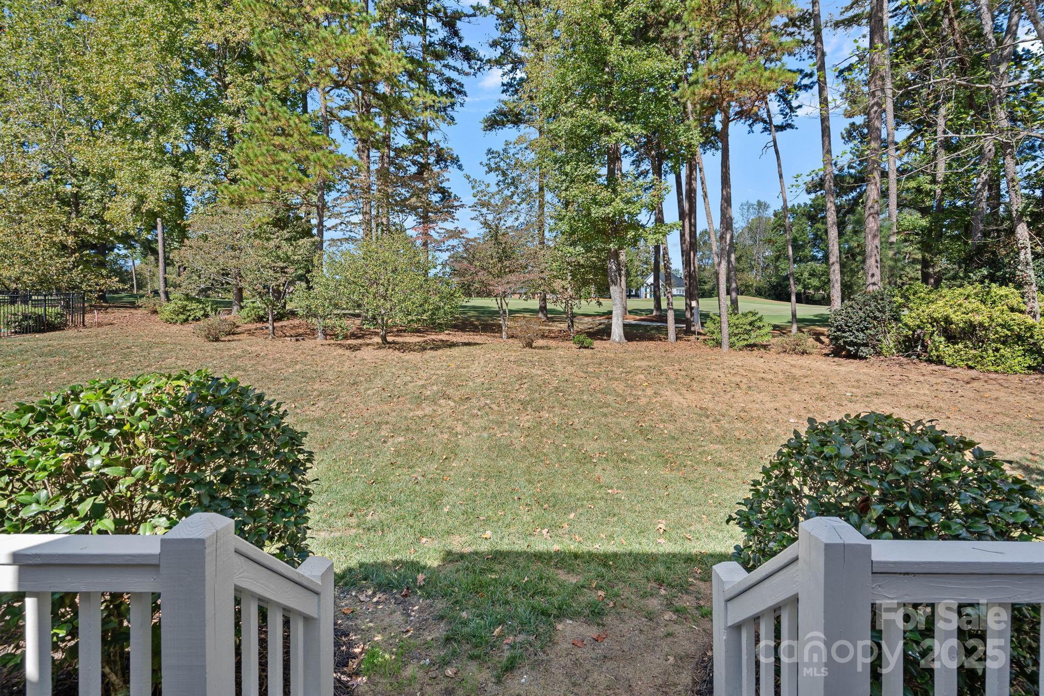 17608 River Ford Drive Davidson, NC 28036 - Photo 43 of 48