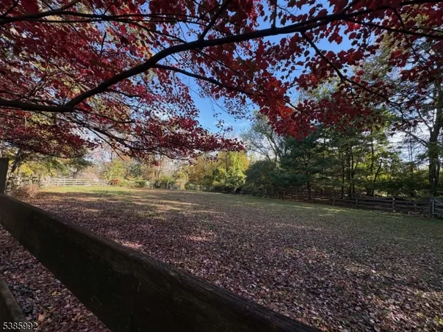 a view of dirt yard with a large tree