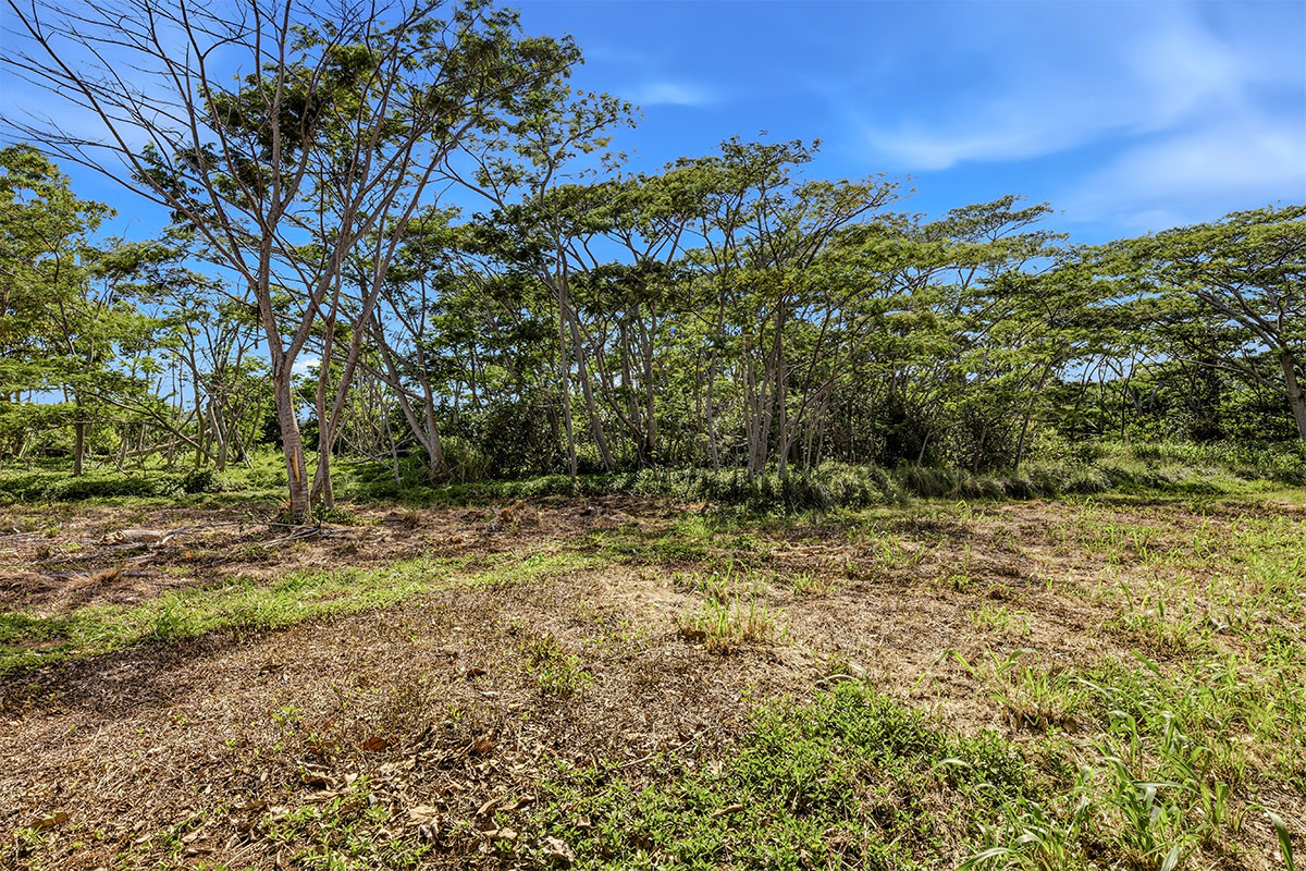 3310 Wawae Road Kalaheo, HI 96741 - Photo 6 of 30