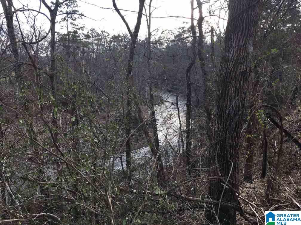 33 County Road, Unit 48 Oneonta, AL 35121 - Photo 25 of 33