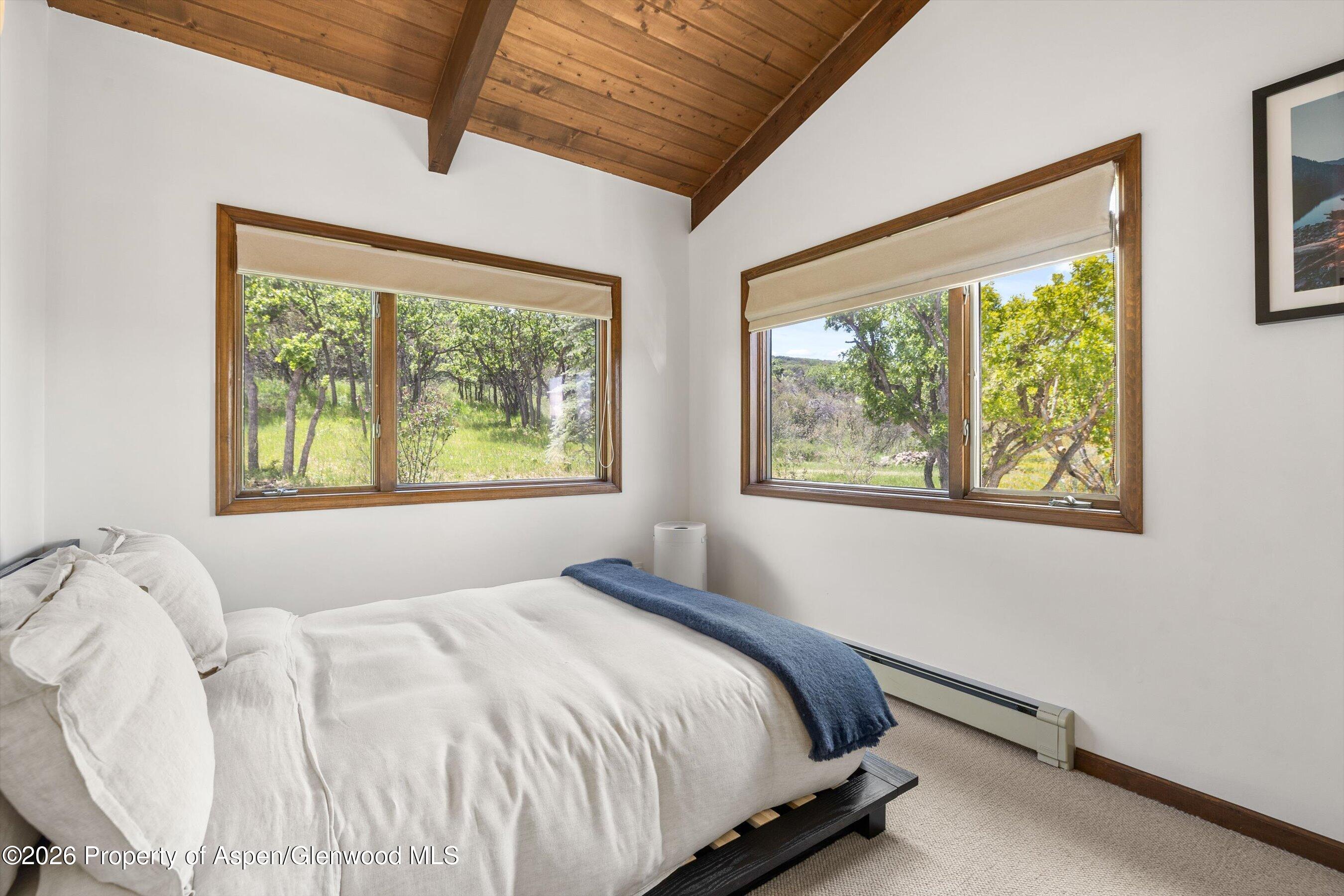 2227 Juniper Hill Road Aspen, CO 81611 - Photo 21 of 29 21-2227JuniperHillRd_2606_2076