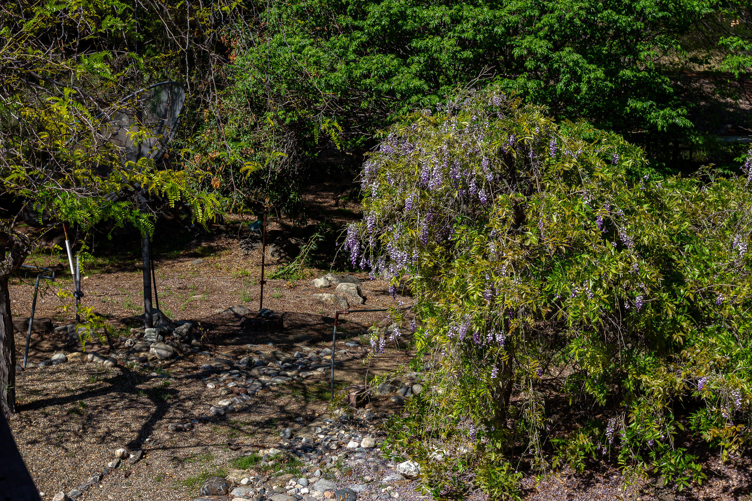 44335 North Fork Three Rivers, CA 93271 - Photo 53 of 53 IMG_1583