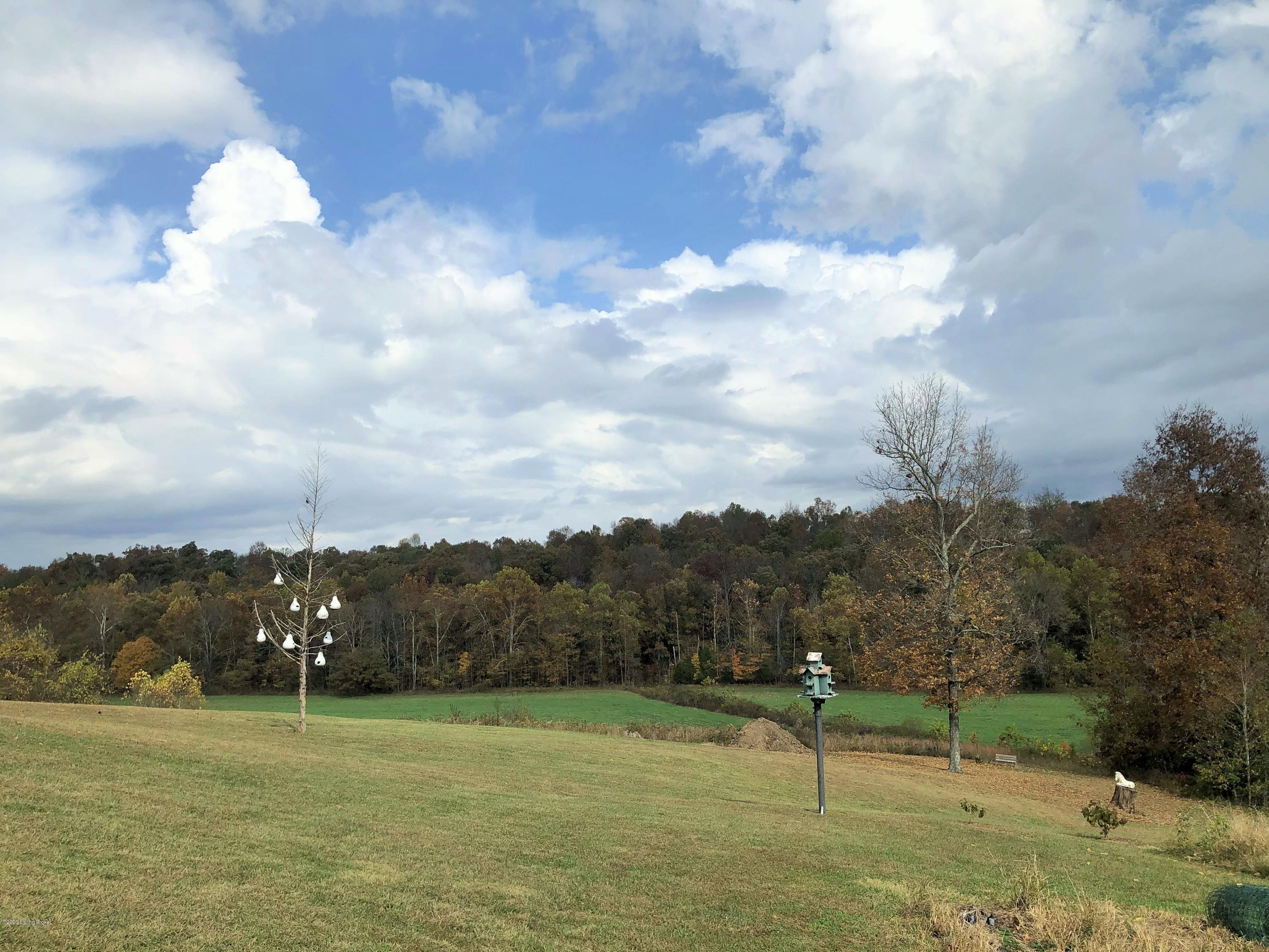 243 Old Peth Road Caneyville, KY 42721 - Photo 15 of 72 2020-10-23_11-45-16_276 (2)