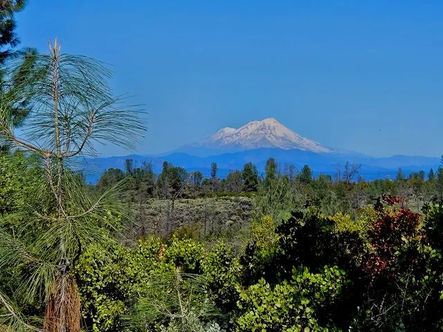 a view of a houses with a yard