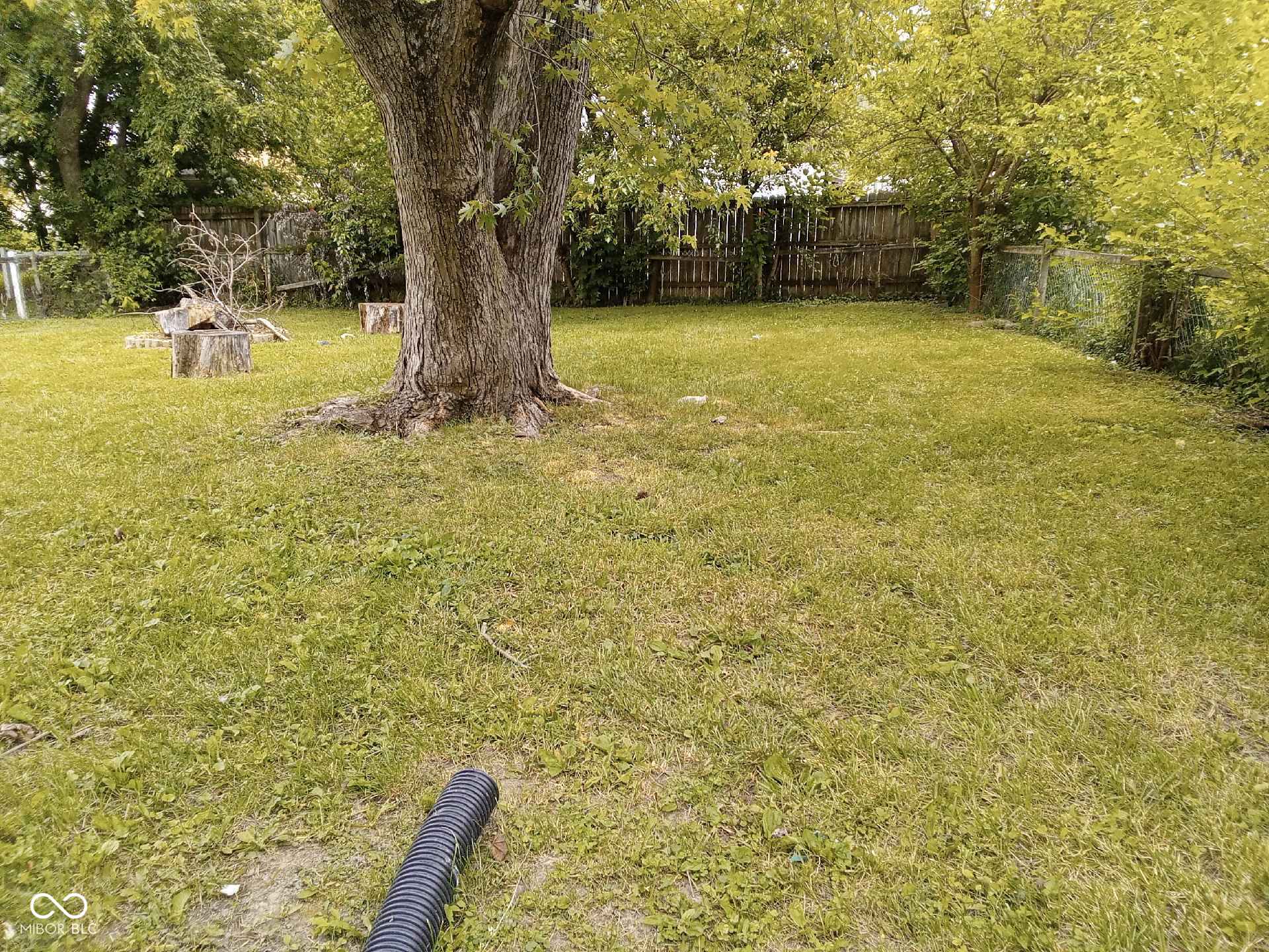 1741 North Riley Avenue Indianapolis, IN 46218 - Photo 11 of 11 Gallery Image 11