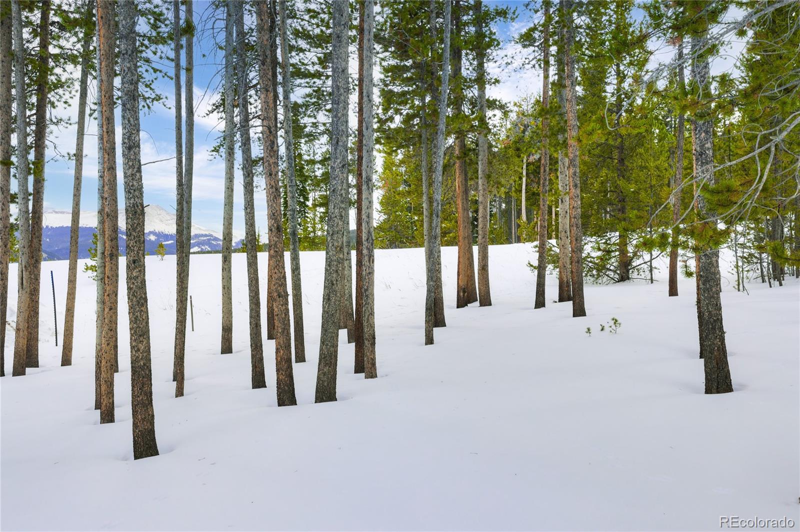 339 Timbertrail Road Breckenridge, CO 80424 - Photo 10 of 18 Gallery Image 10
