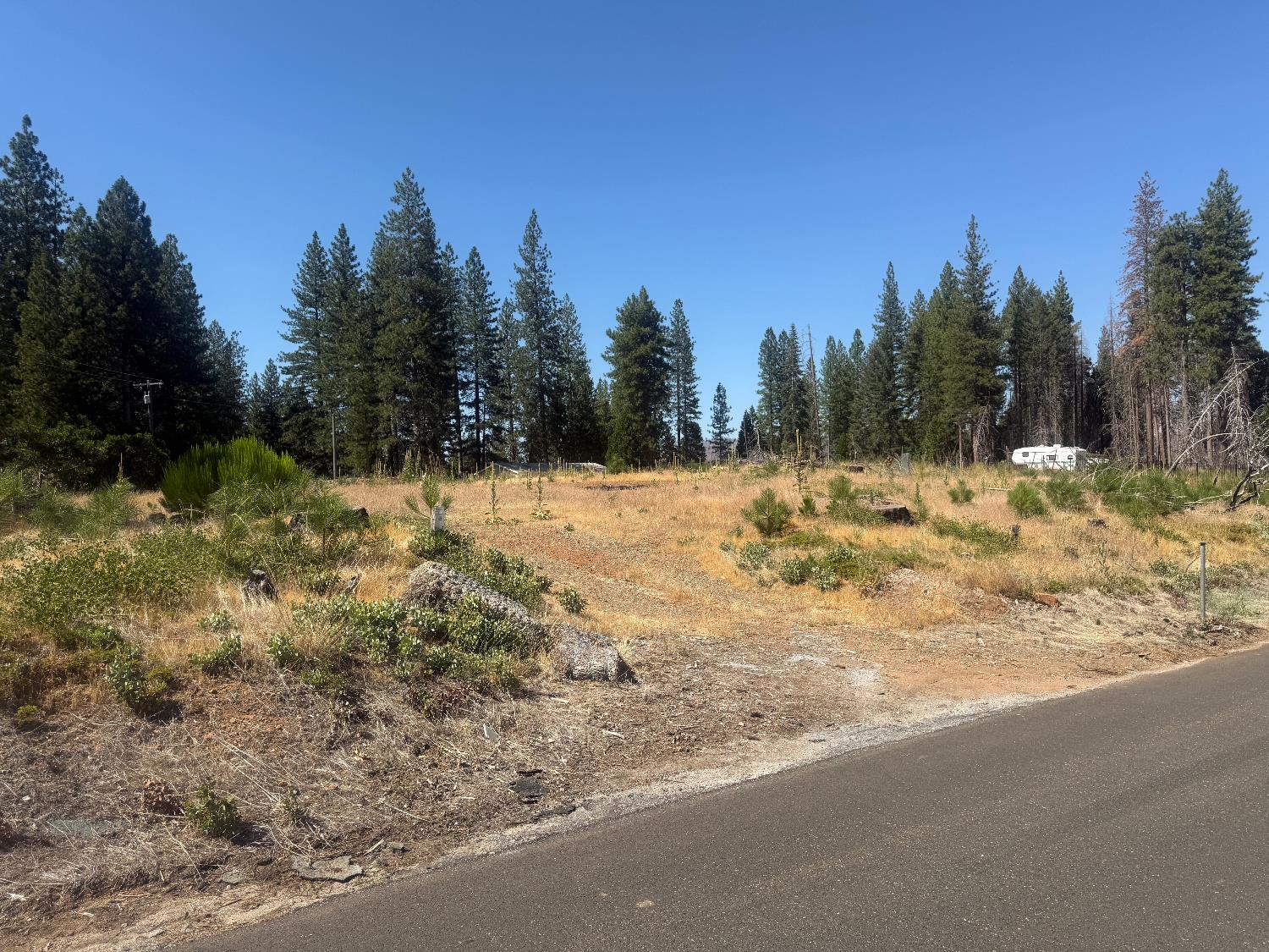 9981 Grizzly Flat Road Grizzly Flats, CA 95636 - Photo 12 of 18 a view of snow on the side of a road