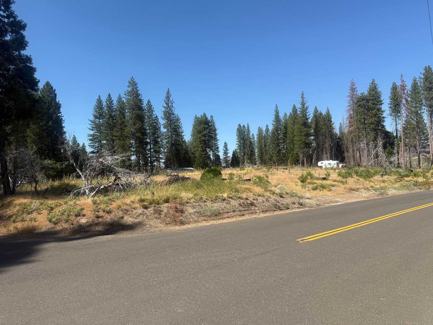 9981 Grizzly Flat Road Grizzly Flats, CA 95636 - Photo 13 of 18 a view of a yard with a house
