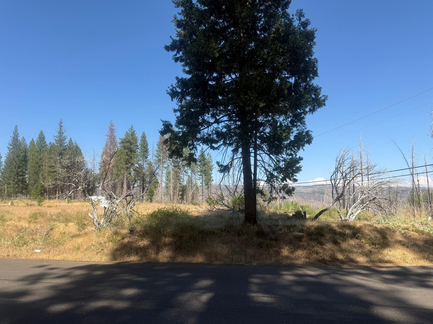 9981 Grizzly Flat Road Grizzly Flats, CA 95636 - Photo 17 of 18 a view of a yard
