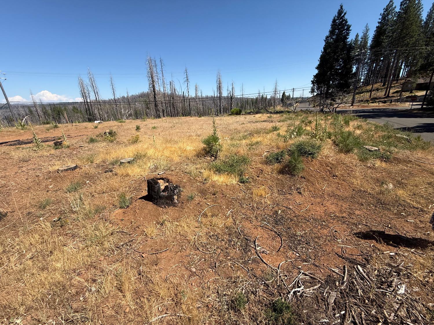 9981 Grizzly Flat Road Grizzly Flats, CA 95636 - Photo 3 of 18 a view of a covered with snow on the road