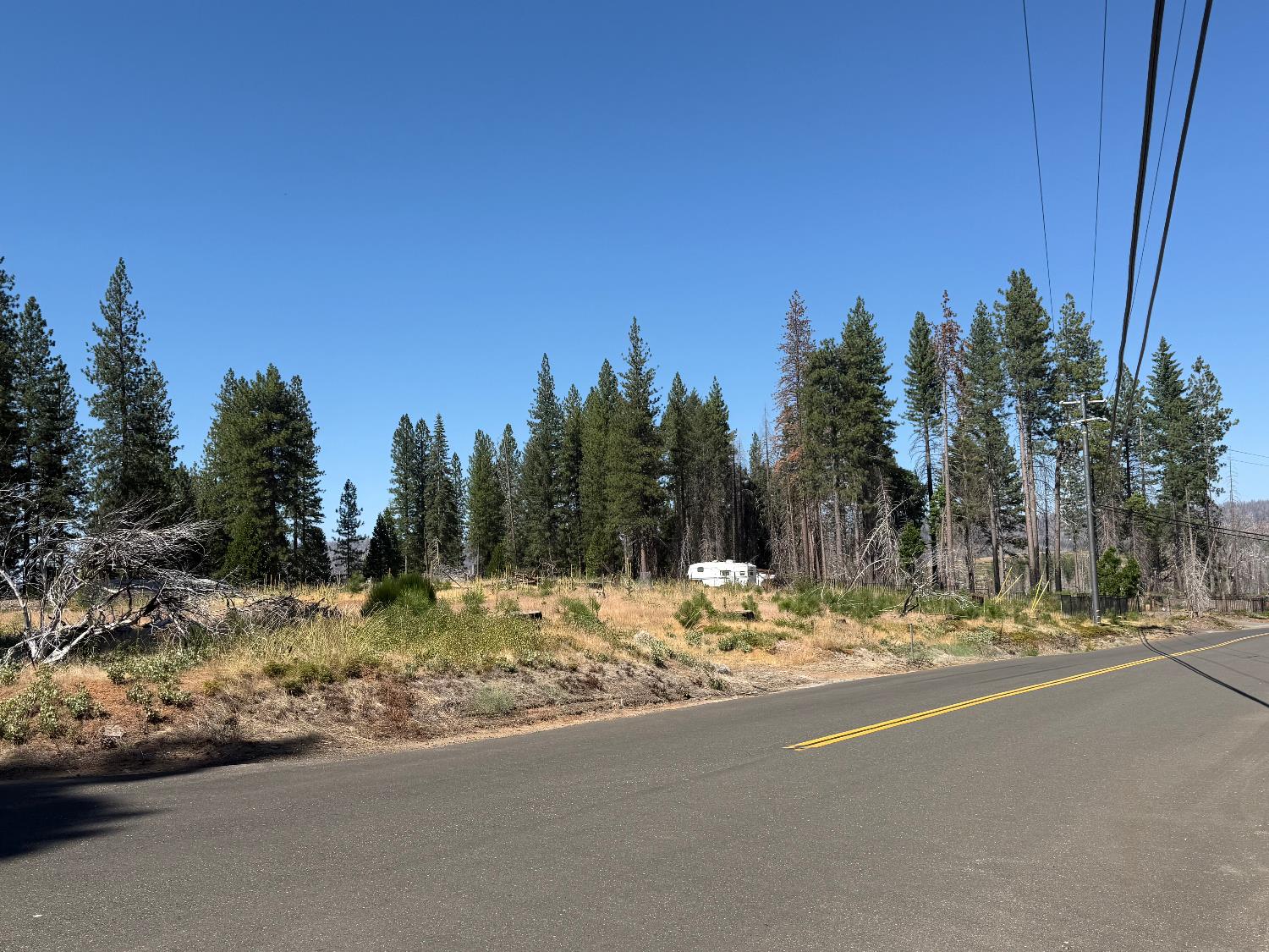 9981 Grizzly Flat Road Grizzly Flats, CA 95636 - Photo 4 of 18 a view of a yard with a tree