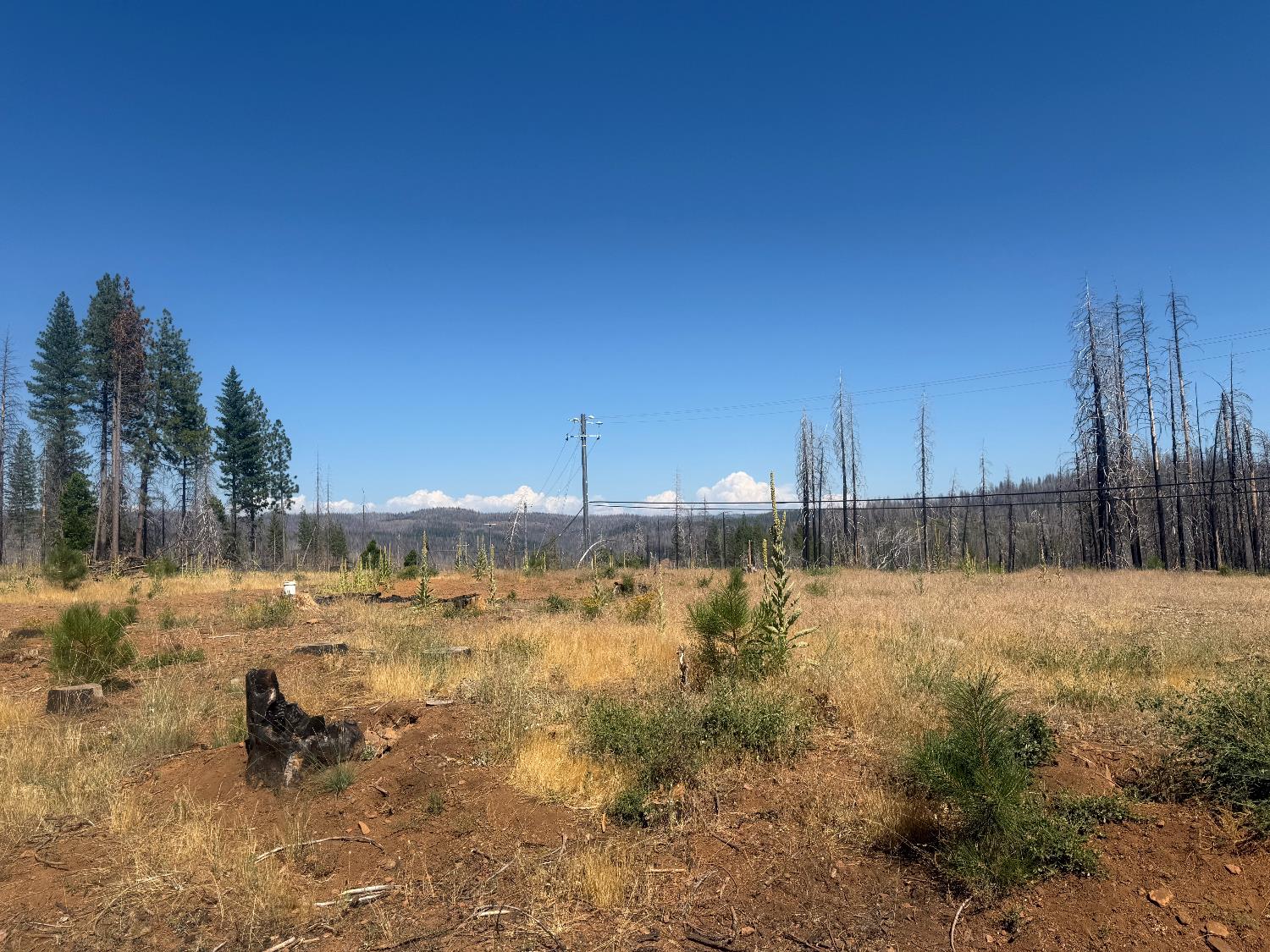 9981 Grizzly Flat Road Grizzly Flats, CA 95636 - Photo 7 of 18 a view of a lake