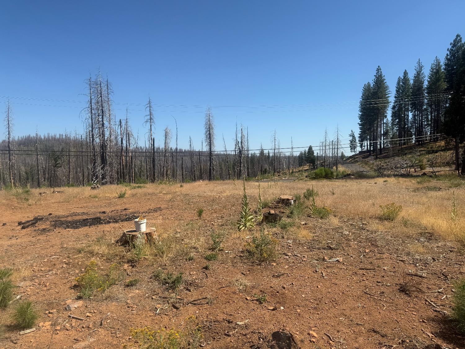 9981 Grizzly Flat Road Grizzly Flats, CA 95636 - Photo 8 of 18