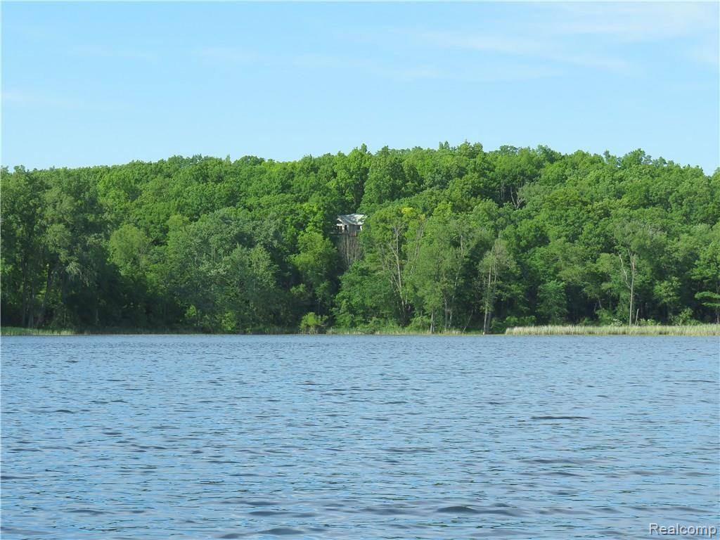 5590 Big Fish Lake Road Goodrich, MI 48438 - Photo 41 of 46 IMG_0109.JPG
