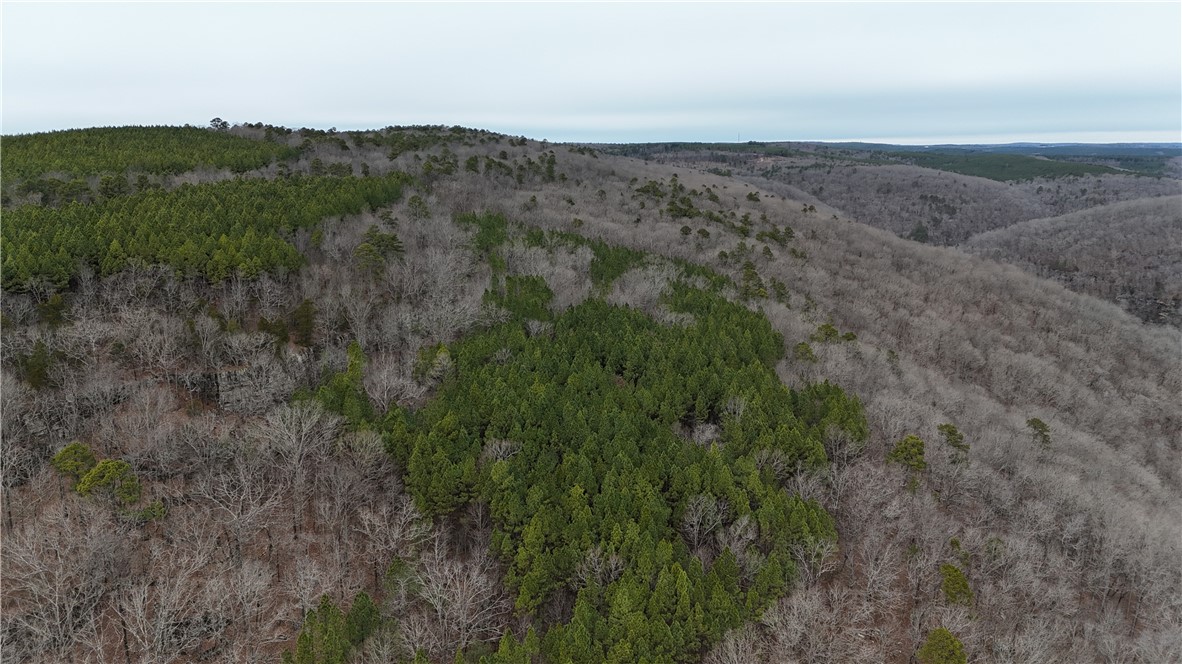 0 Old Brewer Road South Edgemont, AR 72044 - Photo 13 of 60 Aerial view of property's location with a forest
