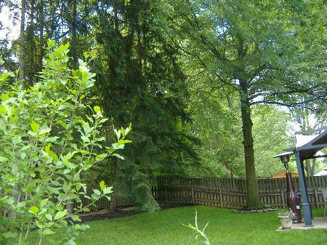 2002 Beulah Road Churchill, PA 15235 - Photo 16 of 17 Gallery Image 16