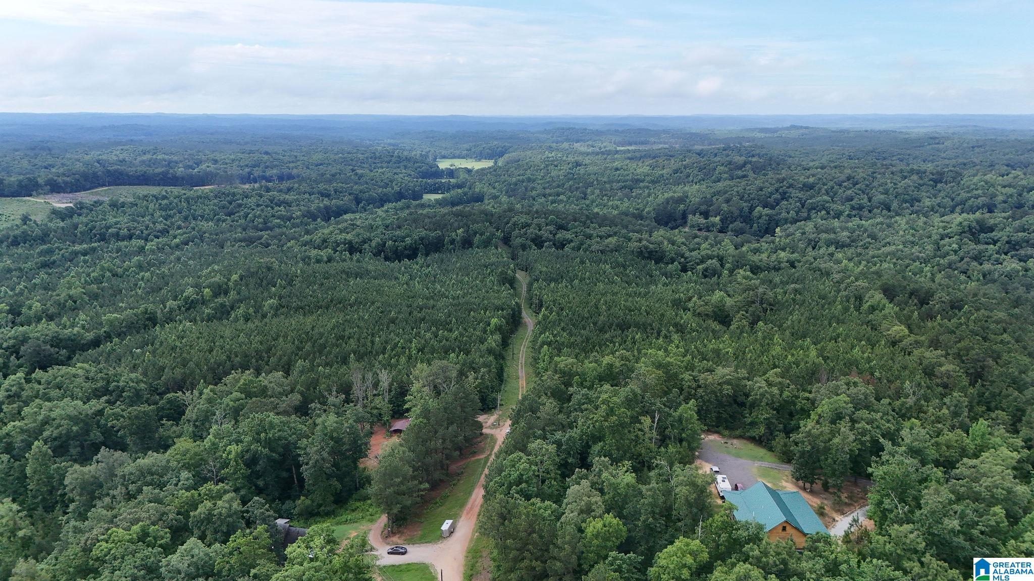 0 Skyview Lake Road Cottondale, AL 35453 - Photo 7 of 22