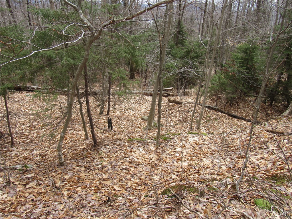 Palisades Road Old Forge, NY 13420 - Photo 11 of 11