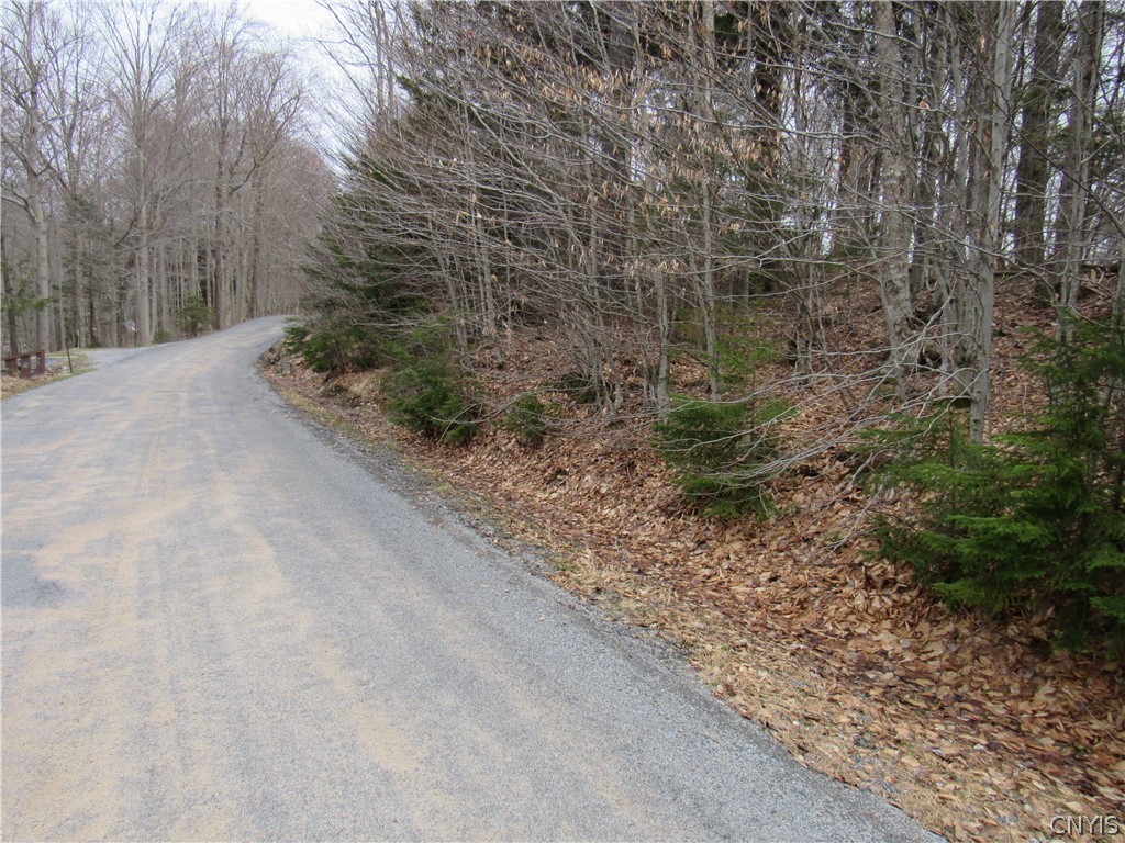 Palisades Road Old Forge, NY 13420 - Photo 2 of 11