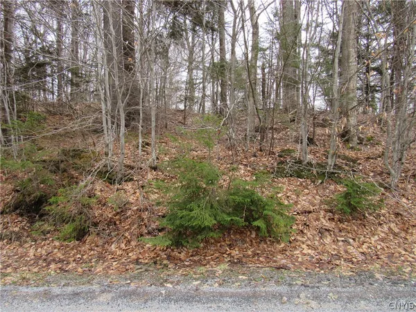 $49,500 | Palisades Road, Old Forge, NY 13420