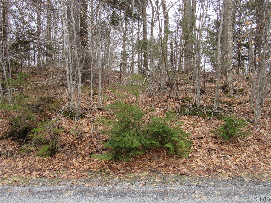 Palisades Road Old Forge, NY 13420 - Photo 3 of 11