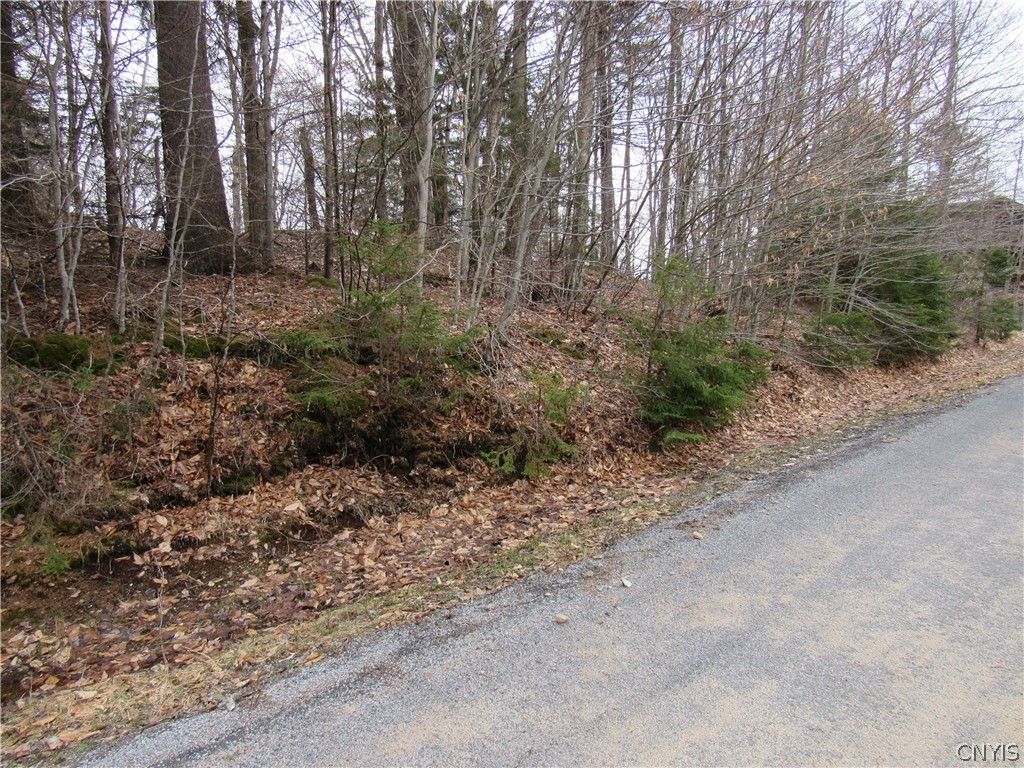 Palisades Road Old Forge, NY 13420 - Photo 4 of 11