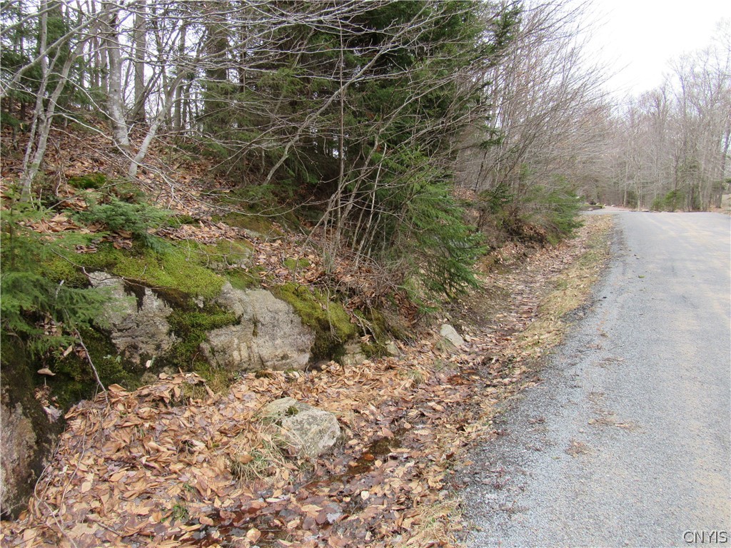 Palisades Road Old Forge, NY 13420 - Photo 5 of 11