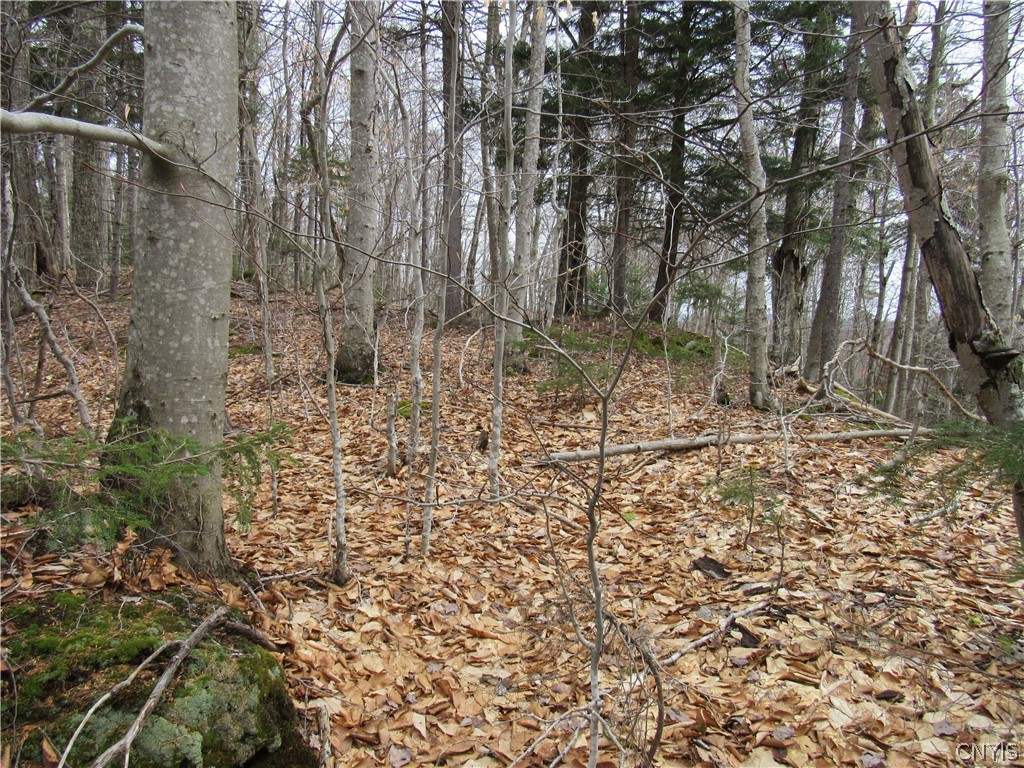 Palisades Road Old Forge, NY 13420 - Photo 6 of 11