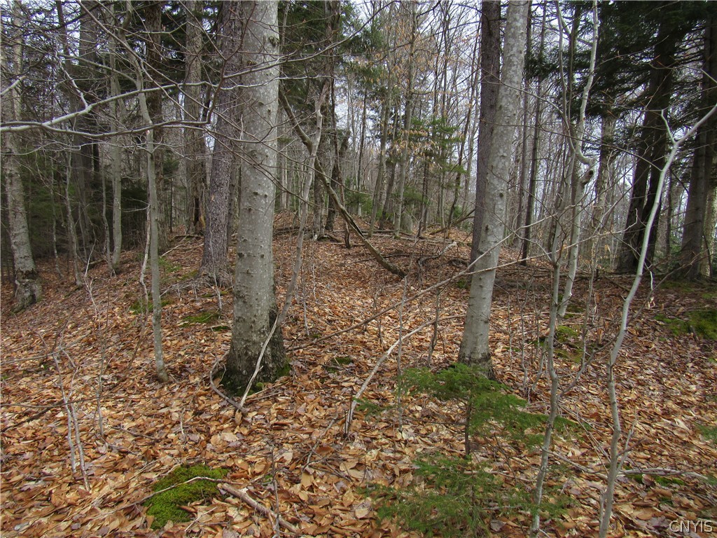 Palisades Road Old Forge, NY 13420 - Photo 7 of 11