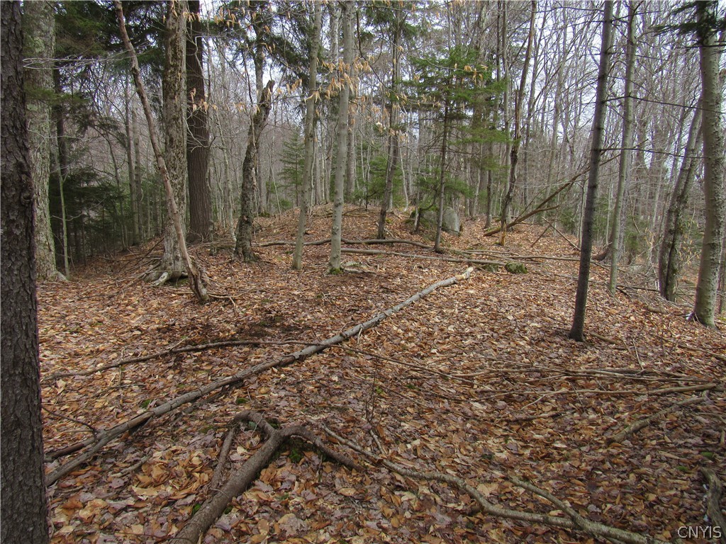Palisades Road Old Forge, NY 13420 - Photo 8 of 11