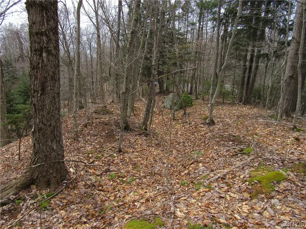 $49,500 | Palisades Road, Old Forge, NY 13420