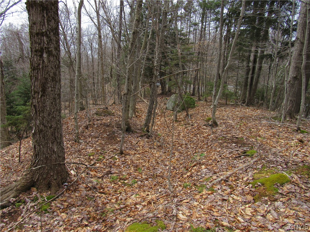 Palisades Road Old Forge, NY 13420 - Photo 9 of 11