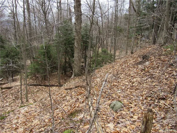 $49,500 | Palisades Road, Old Forge, NY 13420