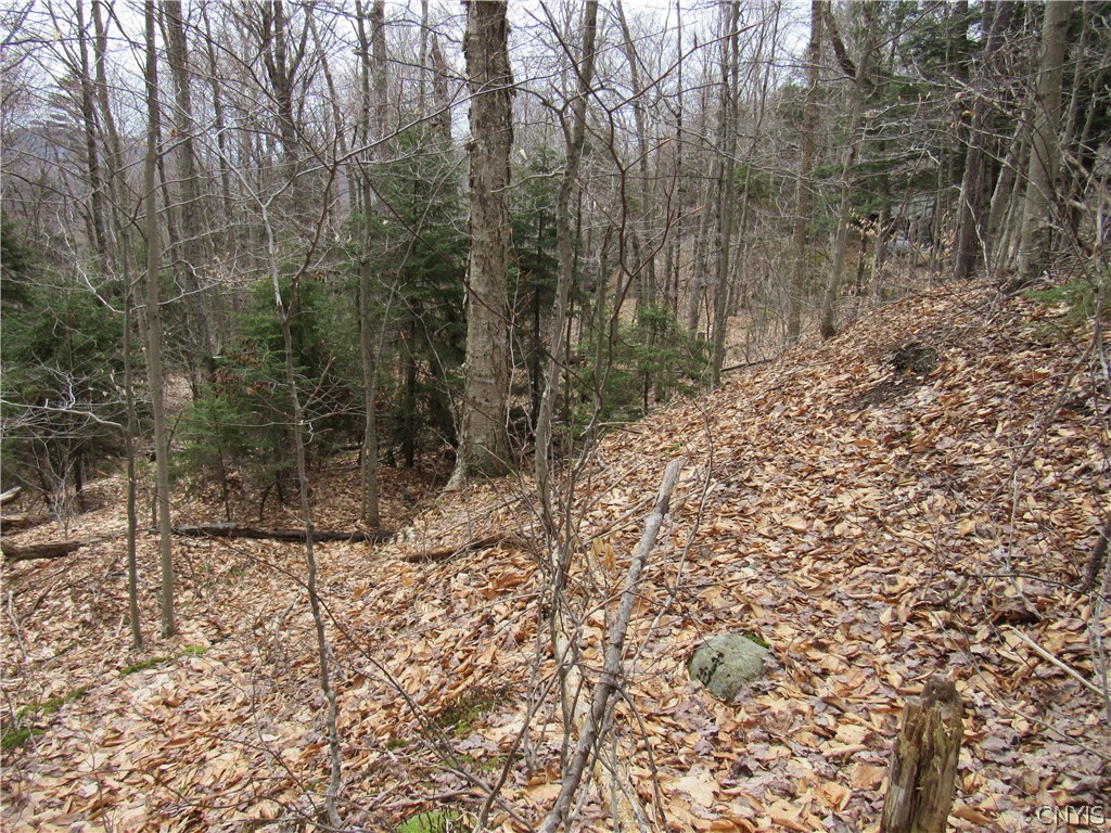Palisades Road Old Forge, NY 13420 - Photo 10 of 11