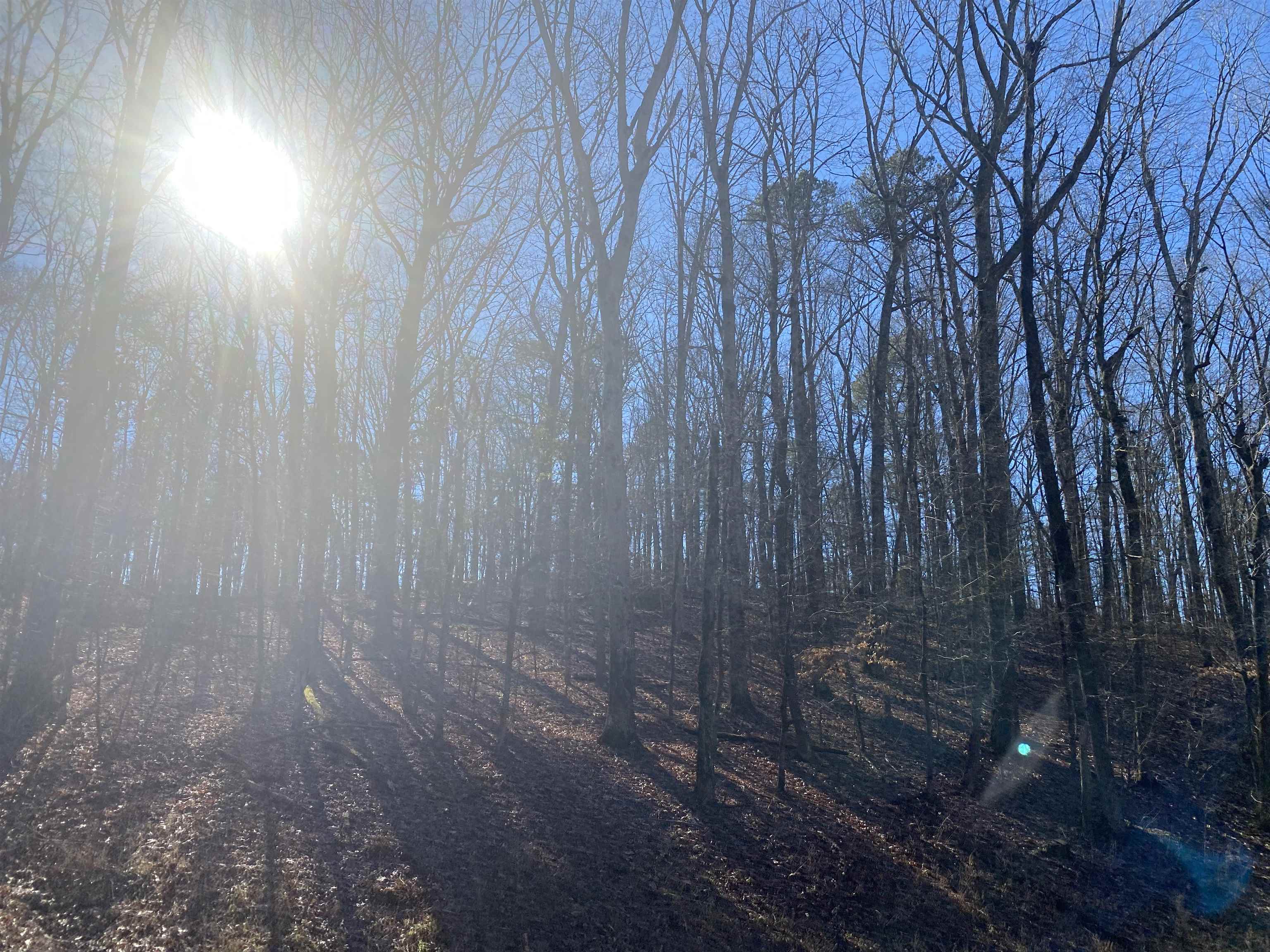 0 Bruton Branch Road Savannah, TN 38372 - Photo 3 of 22 a bathroom with a shower