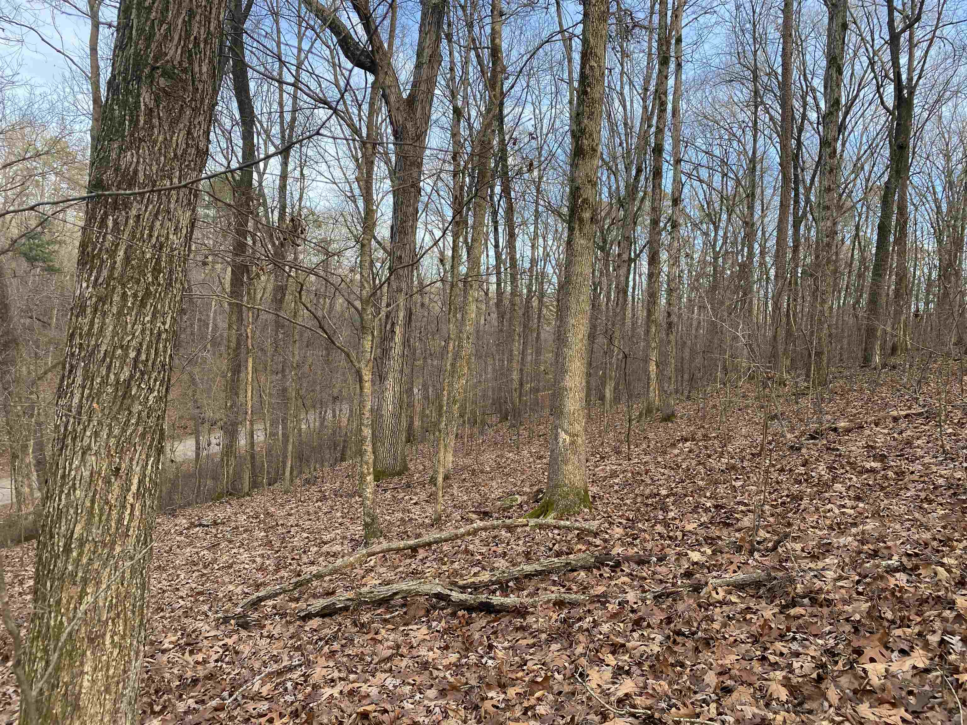 0 Bruton Branch Road Savannah, TN 38372 - Photo 9 of 22 a view of house with trees