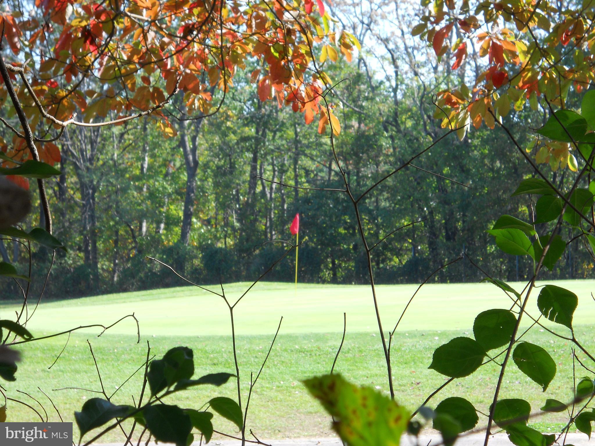 5723 Edgepark Road Baltimore, MD 21239 - Photo 7 of 17 Check out this view from your back yard!