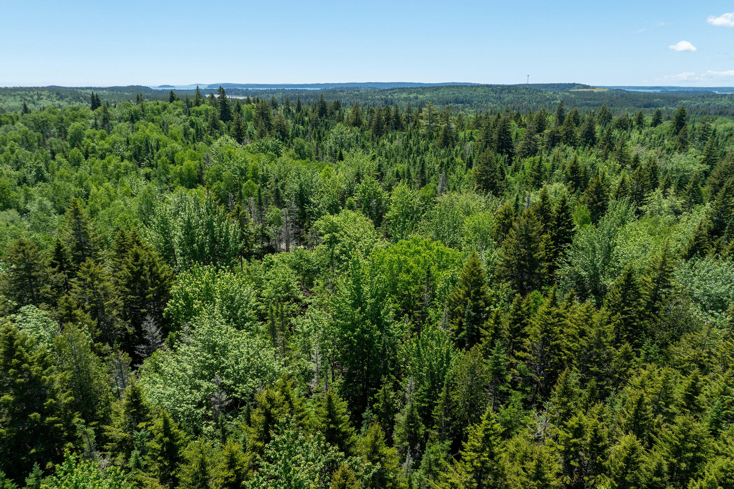362 Duck Cove Road Roque Bluffs, ME 04654 - Photo 7 of 19 362 Duck Cove Road Roque Bluffs (9 of 21